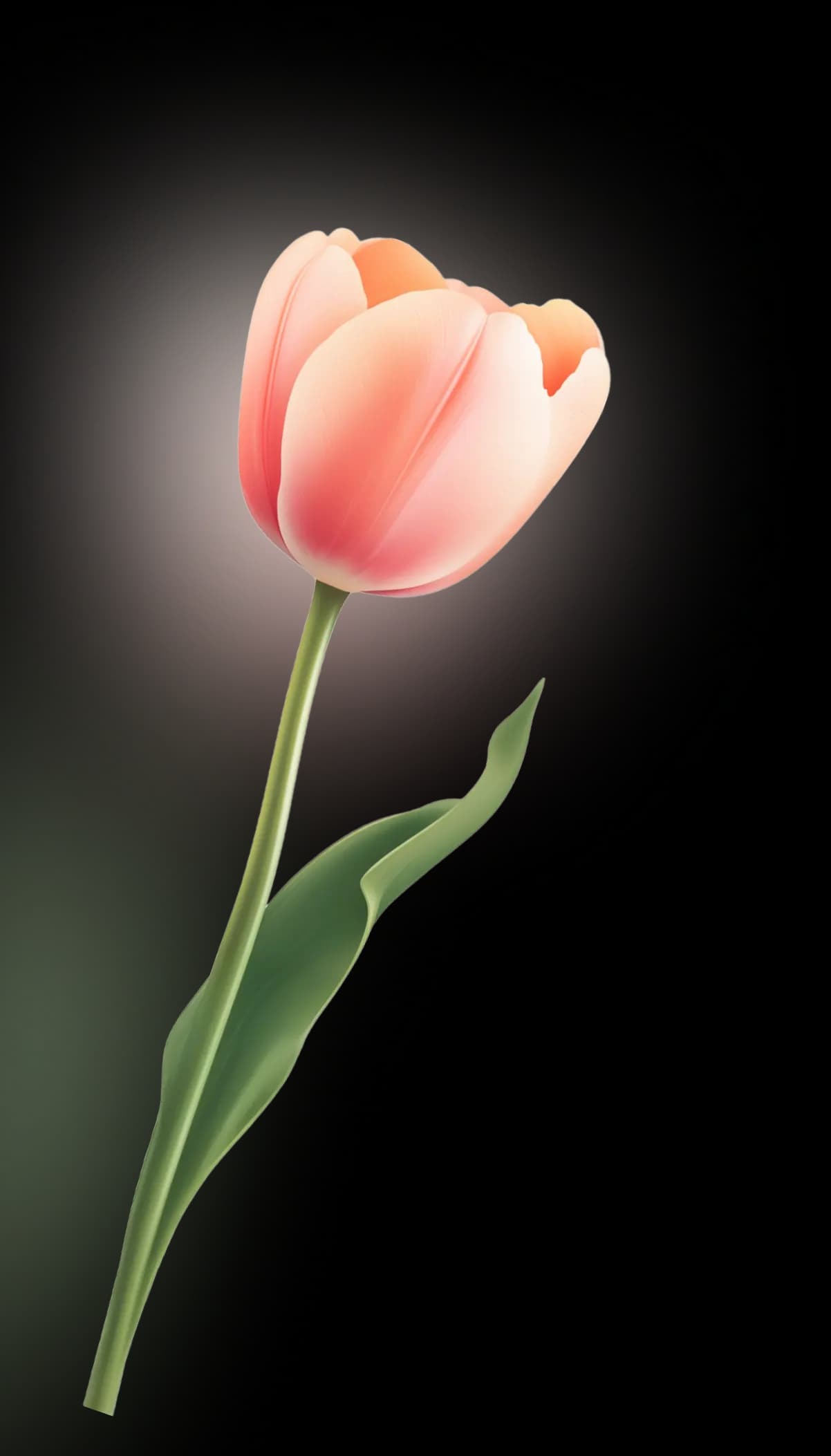 Flower Background
